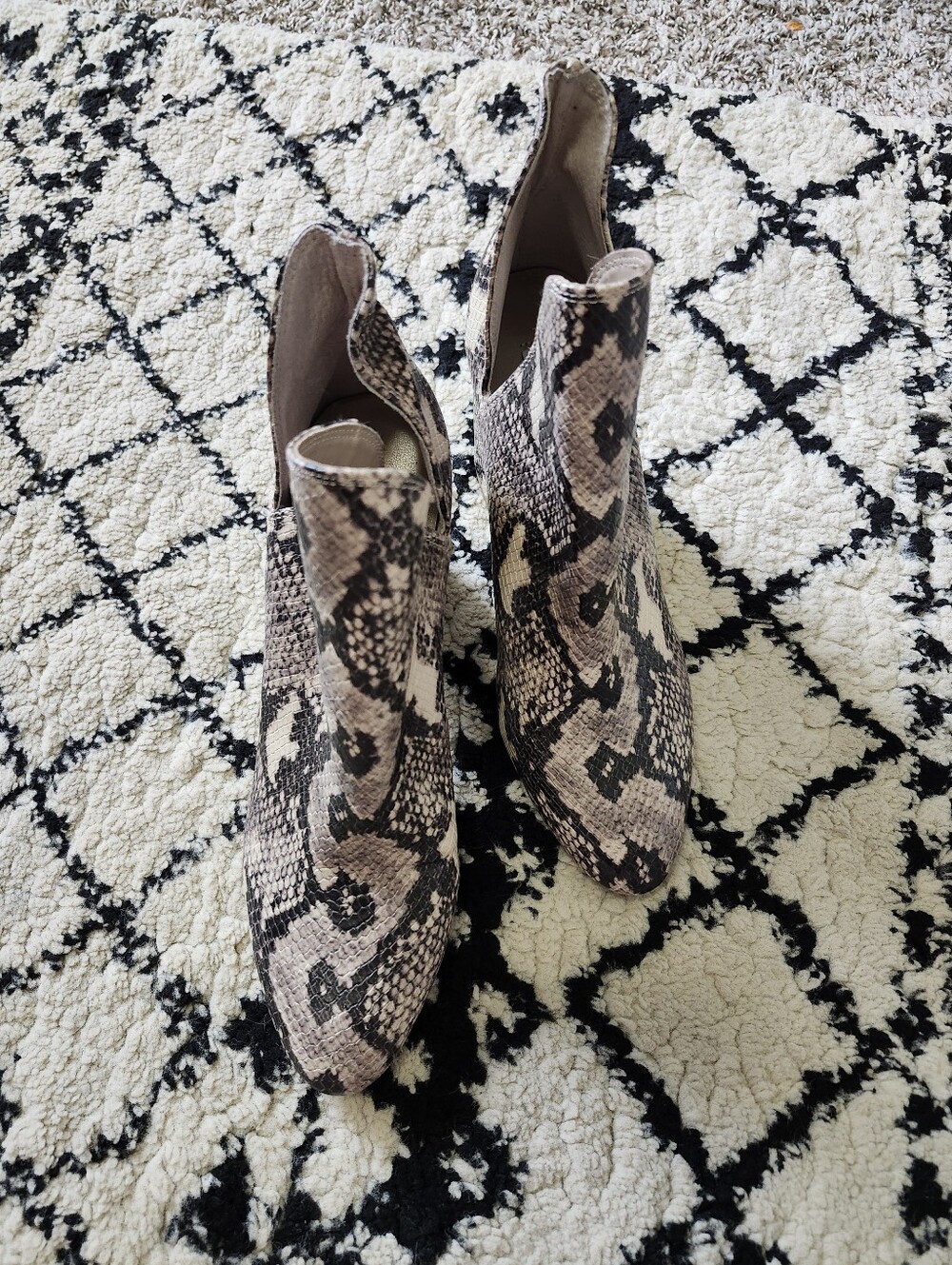 Steve Madden Snake-Print Block Heel Ankle Boots - Black, Cream, Tan 8 - Picture 6 of 9